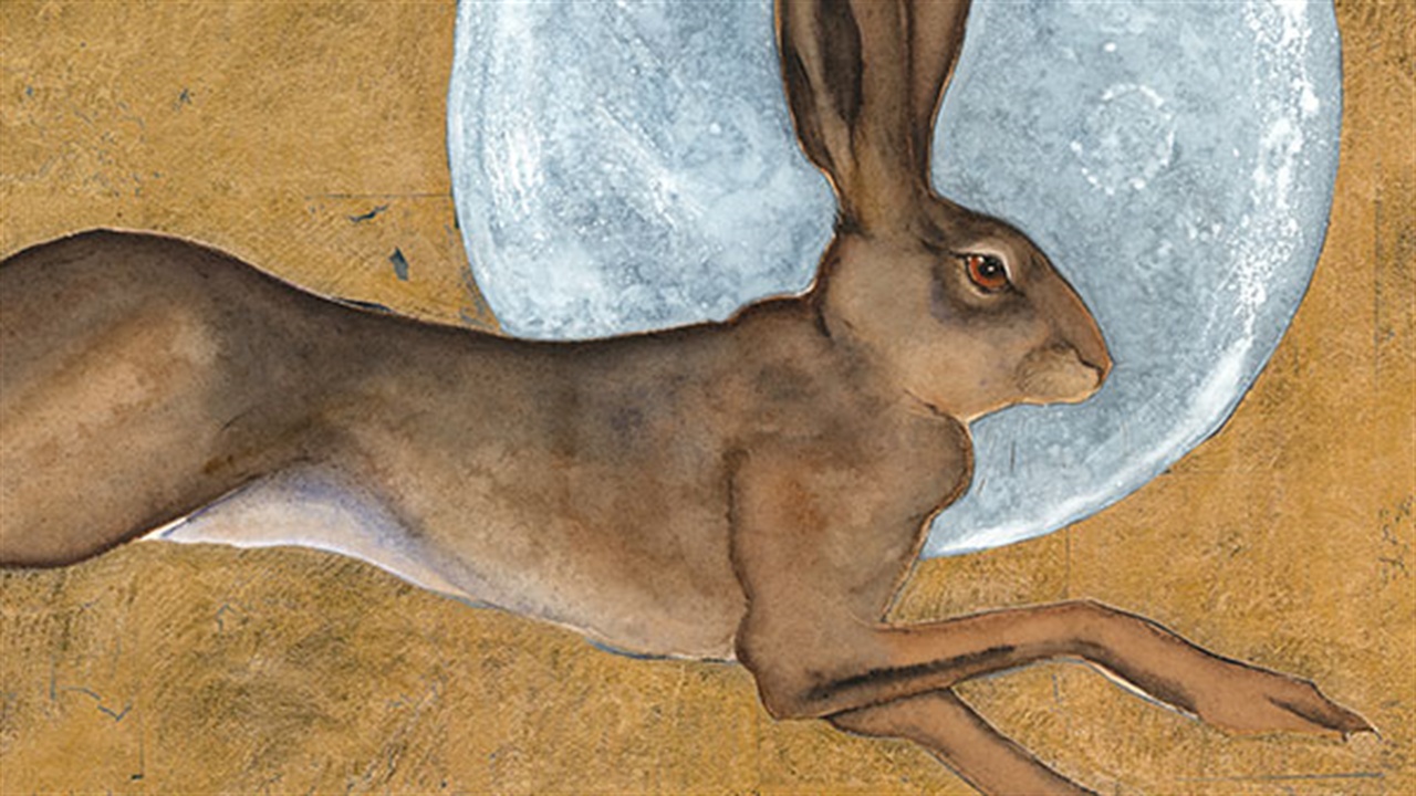 Jackie Morris hare