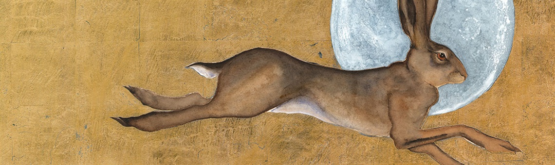 Jackie Morris Hare and Moon