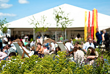 Hay Festival
