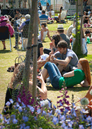 Hay Festival