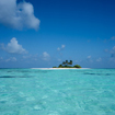 hay festival maldives