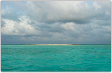 Coral Reef