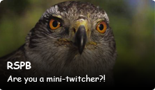RSPB