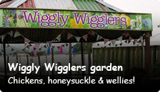 Wiggly Wigglers