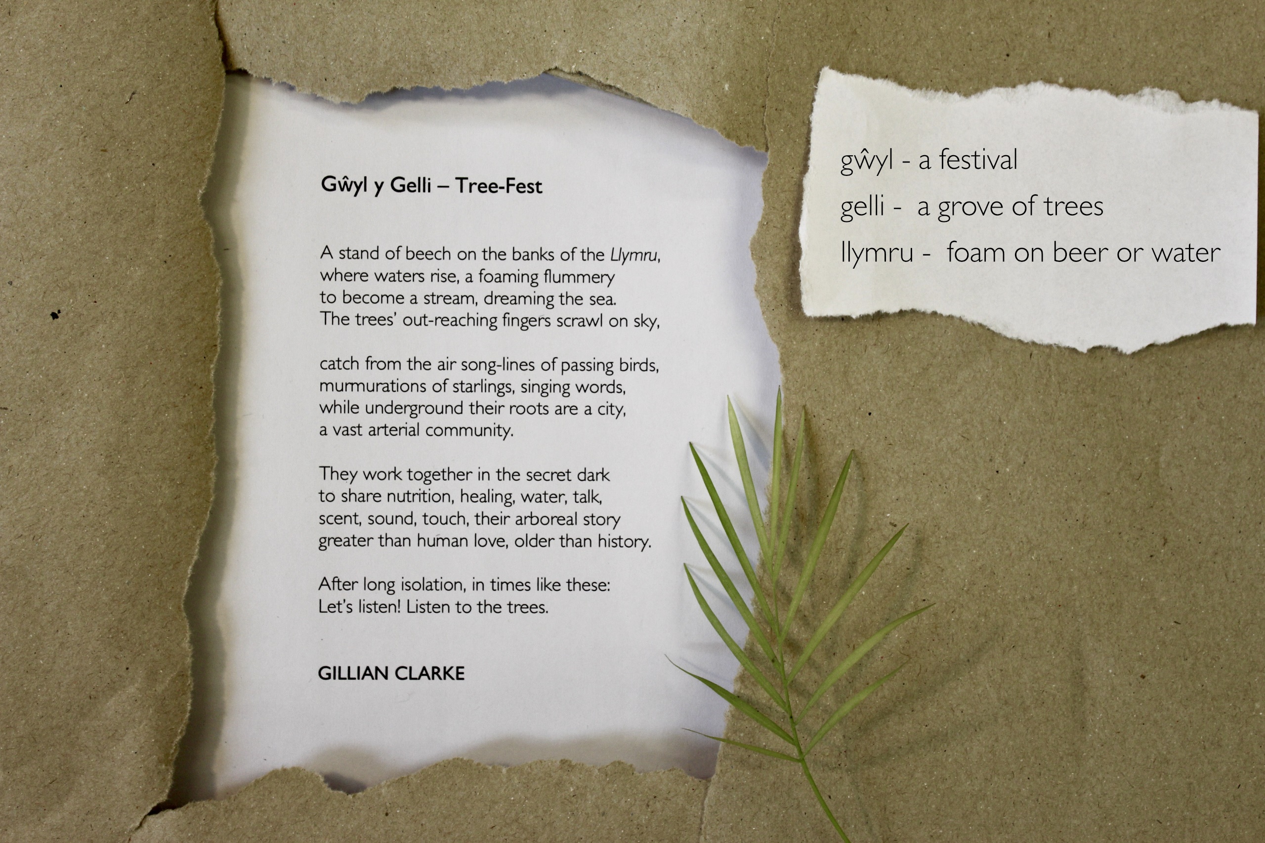 Poem by Gillian Clark