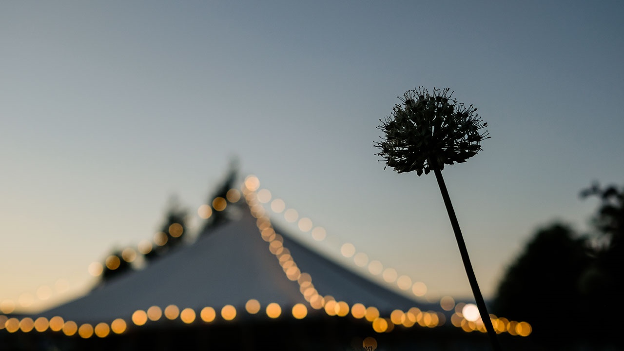 Hay Festival 2019 at night