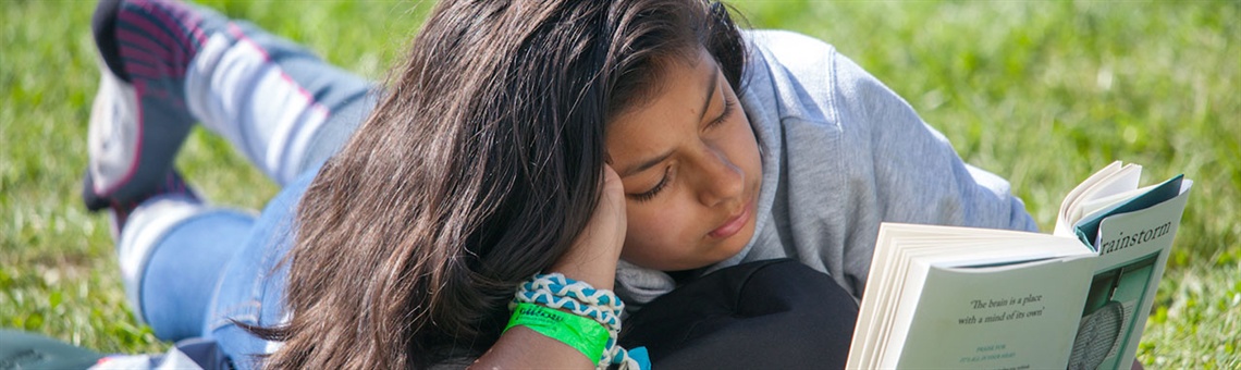 Hay Festival Hay-on Wye aerial shot of festival site