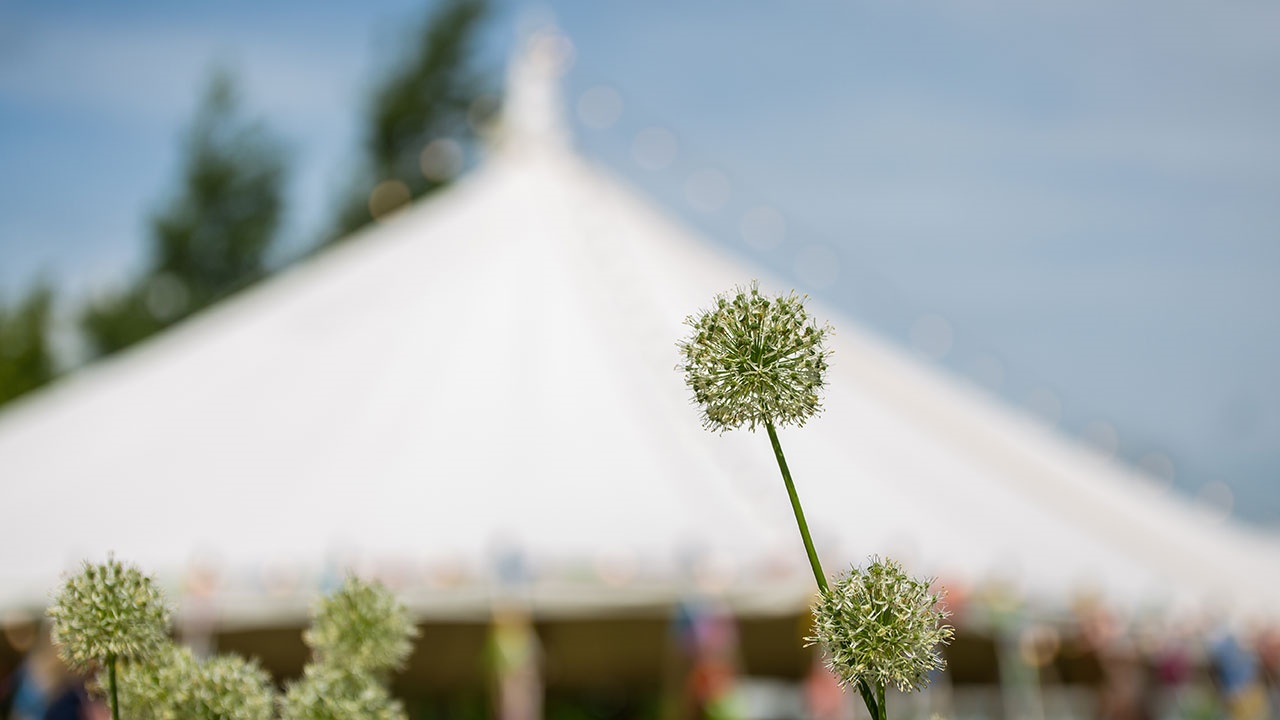 Hay Festival tent