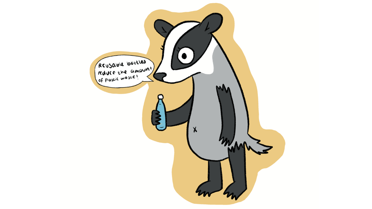 Illustrated badger