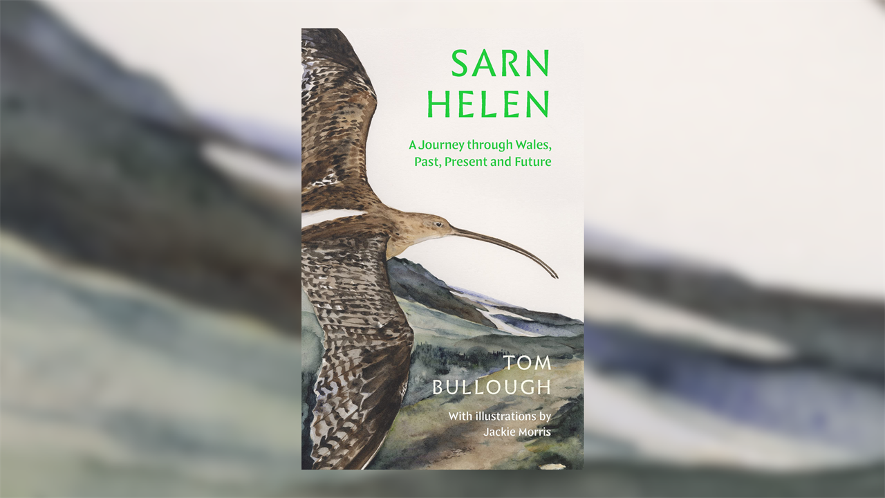 Sarn Helen edited by Tom Bullough