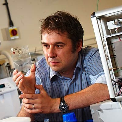 Professor Ally Lewis