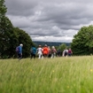 Wayfaring Walk 13: The Local Landscape