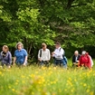 Guided Wellbeing Walk for Creative Women