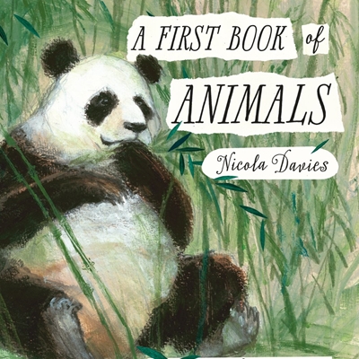 Nicola Davies and Petr Horáček Nicola Davies and Petr Horáček