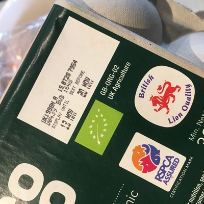 Angelina Sanderson-Bellamy