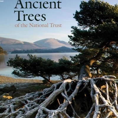 Brian Muelaner and Alan Power