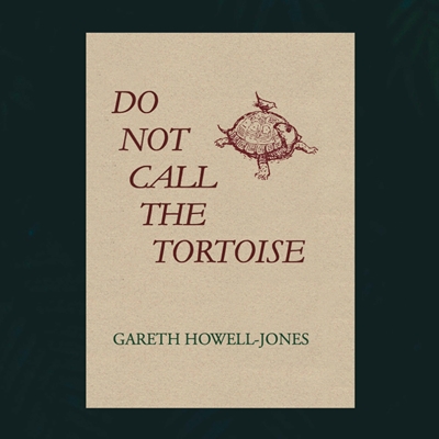 Do Not Call the Tortoise