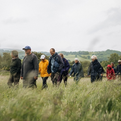 Wayfaring Walk: The Landscape of Hay