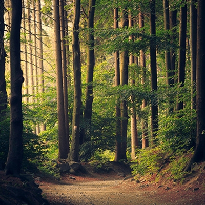 Planet Assembly 4: Community Health for the Future