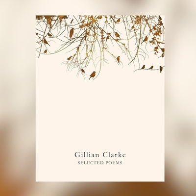 Hay Festival Book Club – Selected Poems Hay Festival Book Club – Selected Poems