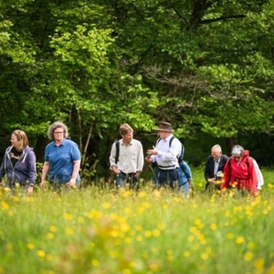 Guided Wellbeing Walk for Creative Women