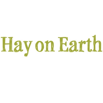 Social Enterprise Series: Grace Quantock