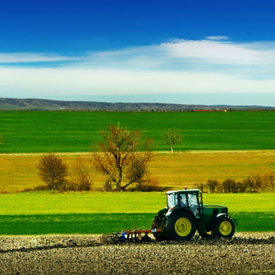 Rosie Boycott, Jonathan Hughes, Simon Blackmore and Russell Carrington
