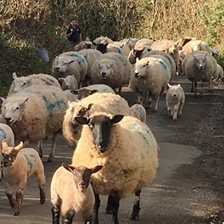 Colin Tudge talks to Andy Fryers