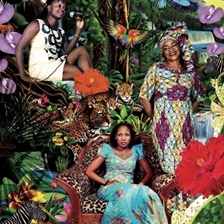 Les Amazones d’Afrique