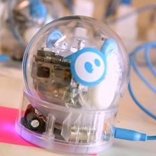 Bushra Alahmadi, Klaudia Krawiecka, Saumya Jetley