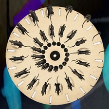 Loopy Animation with MASH Cinema