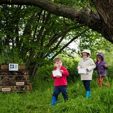 Rooted Forest School