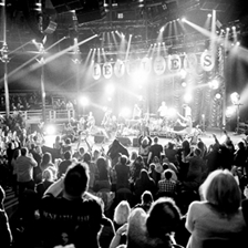 Levellers Collective