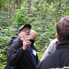 Woodland Heritage Timber Tour