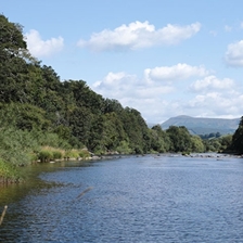 Friends of the Upper Wye