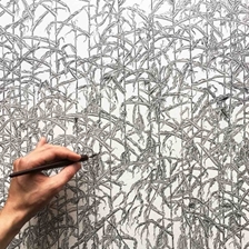 Human (Banners, Segovia for) rights