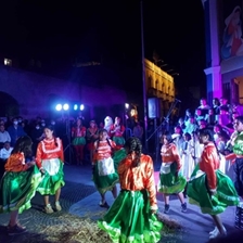 El árbol de la queñua es vida