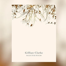 Hay Festival Book Club – Selected Poems