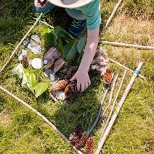 Rooted Forest School