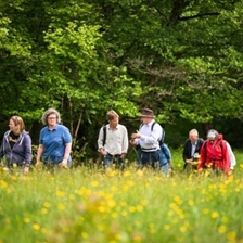 Brobury Farm Walk