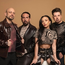 Playa Limbo in concert