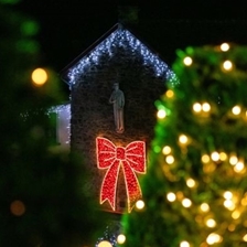 Festival Finale of Carols with John Potter