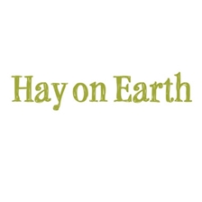 Social Enterprise Series: Nick Temple