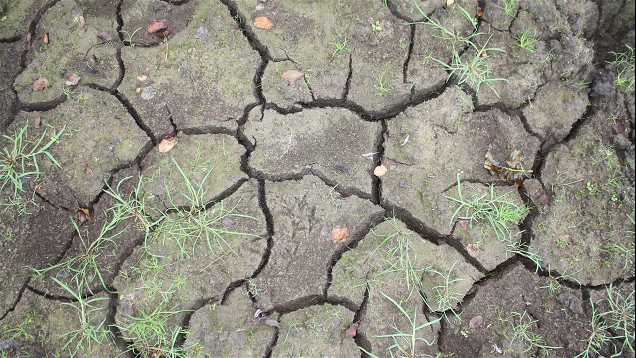 Parched earth in the UK