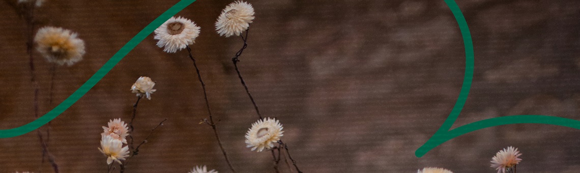 Winter flowers