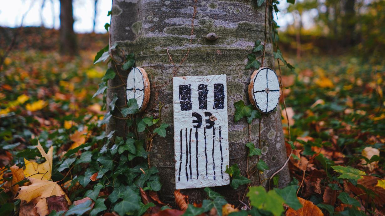 Beacons Project 2021 - The Fairy Door by Mia Robinson