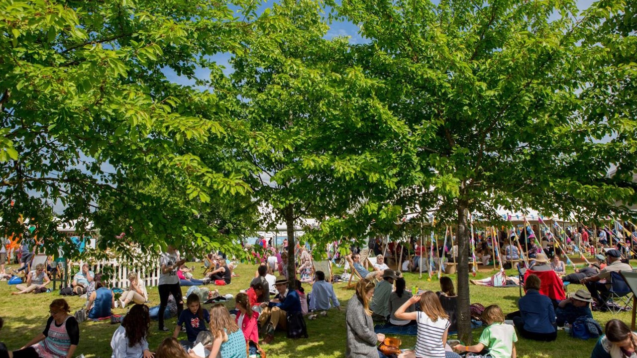 Trees on Hay Festival site